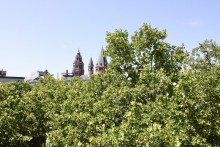 Domblick 3-Zimmer-Wohnung mit Dom-Blick